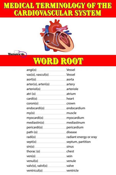 Medical study of the heart Word Hike .